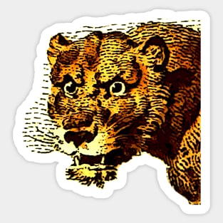 Comic and african lioness Sticker